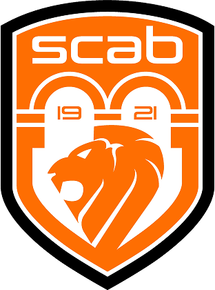 sc aegerten bruegg wappen